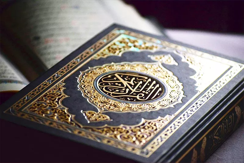 رضا نیک‌خوی منفرد
